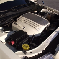 Image for 