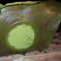 Image for 