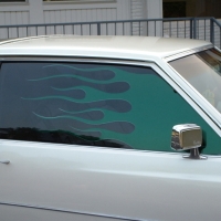Image for 