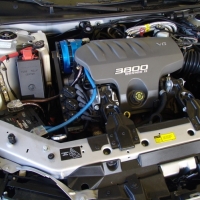 Image for 
