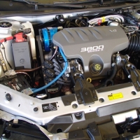 Image for 