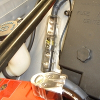 Image for 
